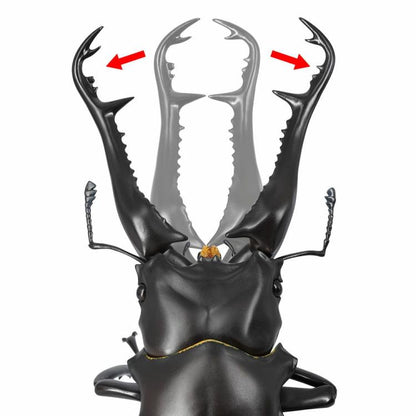 Revoltech RevoGeo Prosopocoilus giraffa (Giraffe Stag Beetle)