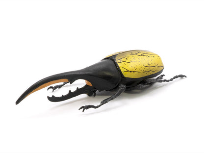 Beetle & Stag Beetle Hunter Box of 10 Random Figures