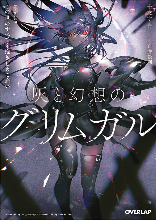 Grimgar Of Fantasy & Ash Light Novel Volume 19