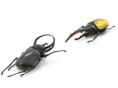 Beetle & Stag Beetle Hunter Box of 10 Random Figures