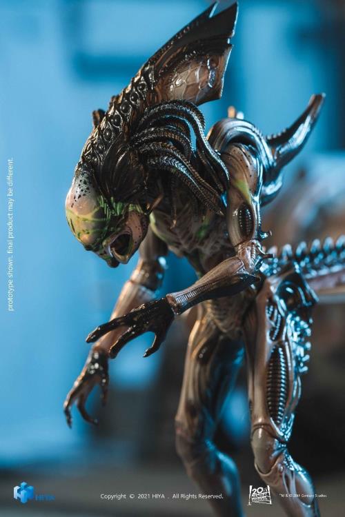 Alien vs. Predator: Requiem Predalien (Battle Damaged) 1:18 Scale PX Previews Exclusive Figure