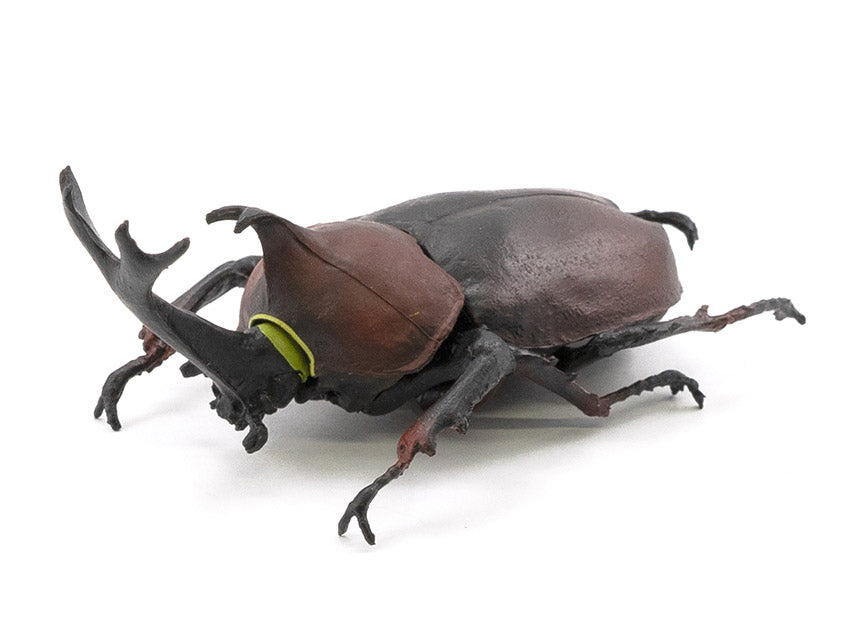 Beetle & Stag Beetle Hunter Box of 10 Random Figures