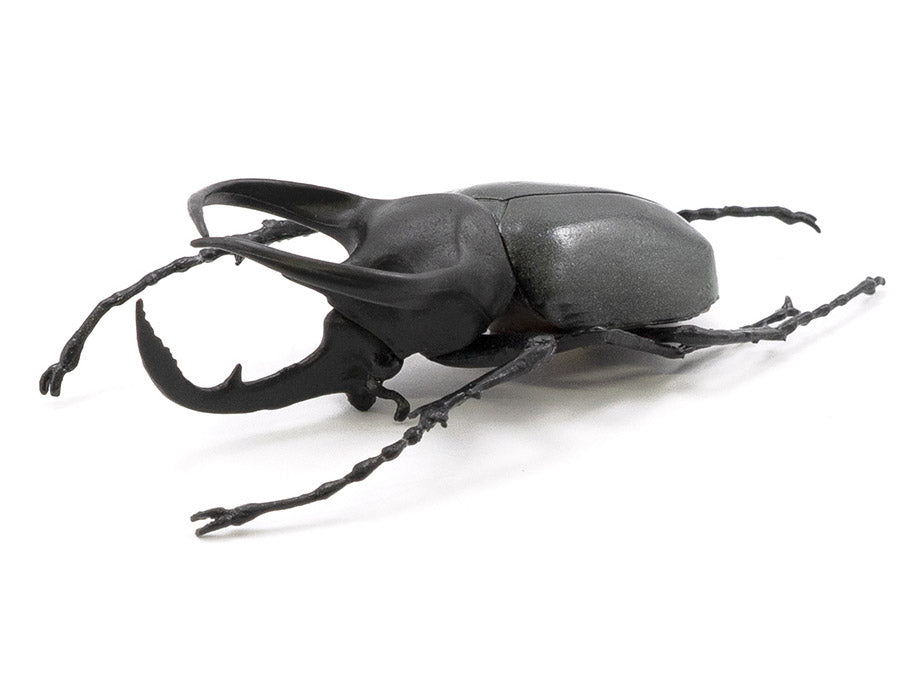 Beetle & Stag Beetle Hunter Box of 10 Random Figures