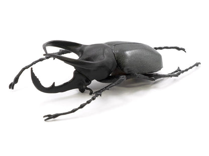 Beetle & Stag Beetle Hunter Box of 10 Random Figures
