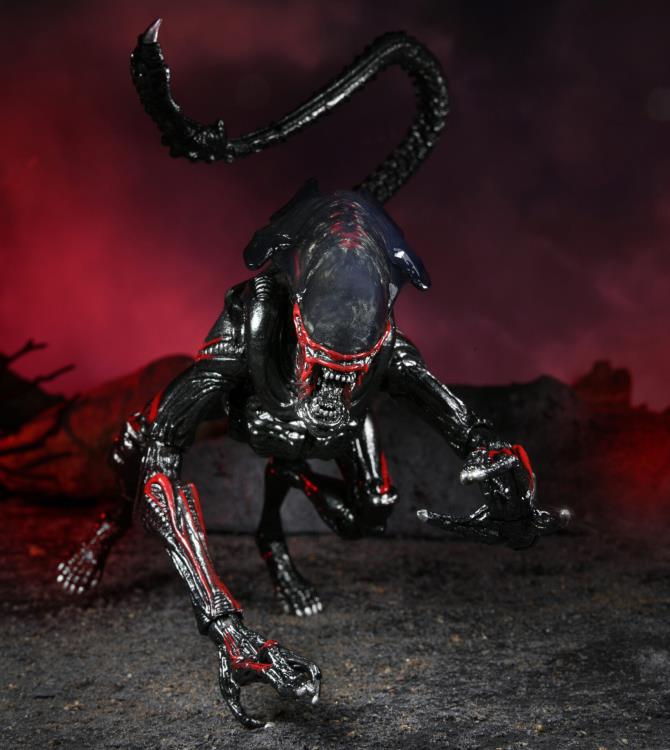 Aliens Kenner Tribute Night Cougar Alien