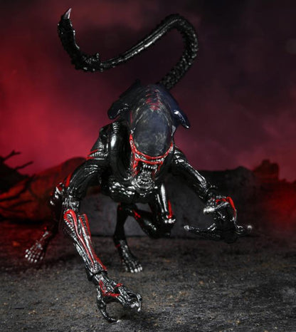 Aliens Kenner Tribute Night Cougar Alien