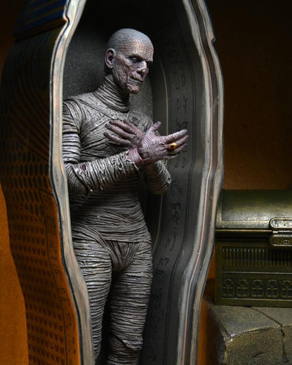 Universal Monsters The Mummy Accessory Pack