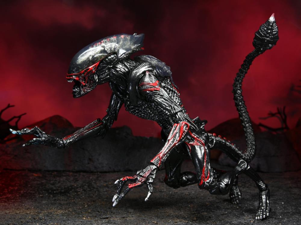 Aliens Kenner Tribute Night Cougar Alien