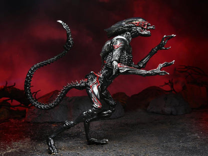 Aliens Kenner Tribute Night Cougar Alien