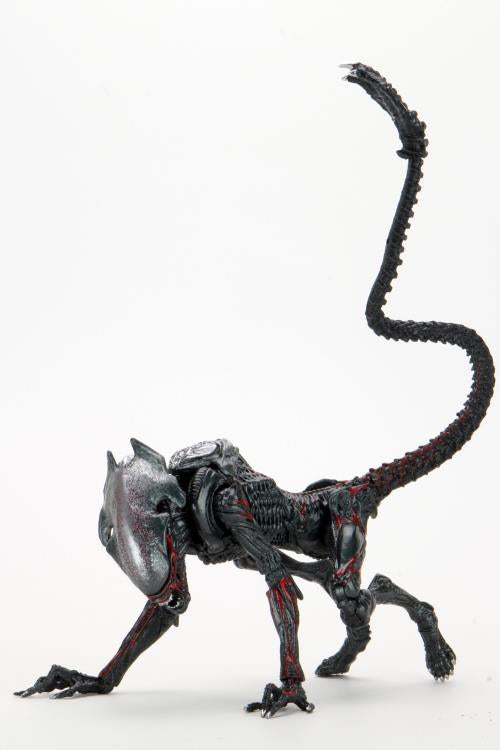 Aliens Kenner Tribute Night Cougar Alien