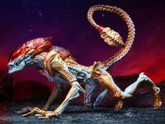 Aliens Kenner Tribute Panther Alien
