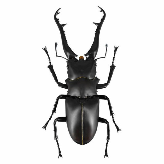Revoltech RevoGeo Prosopocoilus giraffa (Giraffe Stag Beetle)