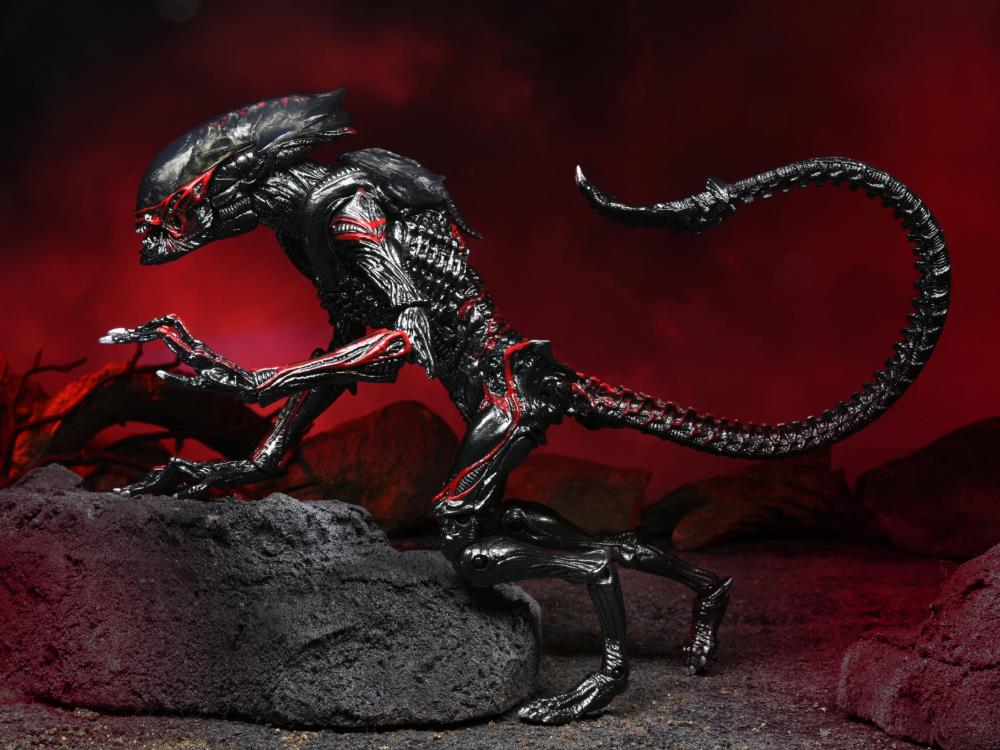 Aliens Kenner Tribute Night Cougar Alien