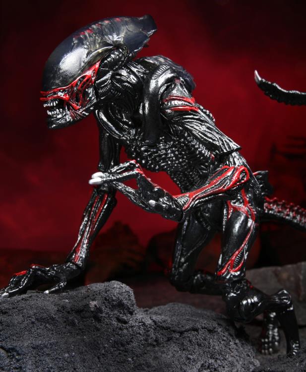 Aliens Kenner Tribute Night Cougar Alien