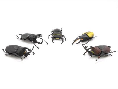 Beetle & Stag Beetle Hunter Box of 10 Random Figures