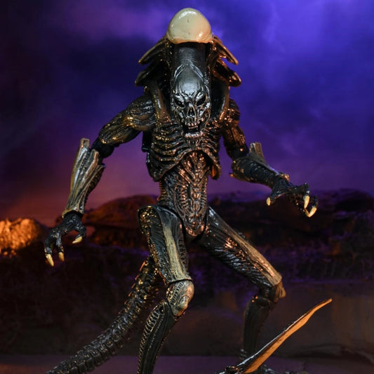 Alien vs Predator - 7" Scale Action Figure - Chrysalis Alien (Movie Deco)