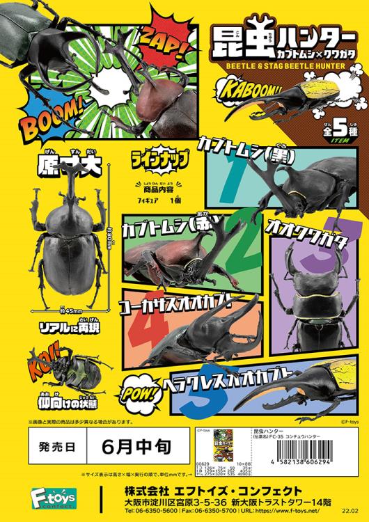 Beetle & Stag Beetle Hunter Box of 10 Random Figures