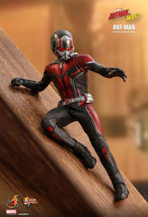 Ant-Man and the Wasp Ant-Man 1/6th Scale Collectible Figure