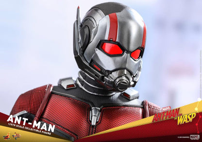 Ant-Man and the Wasp Ant-Man 1/6th Scale Collectible Figure