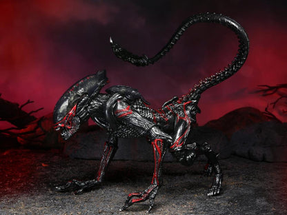Aliens Kenner Tribute Night Cougar Alien