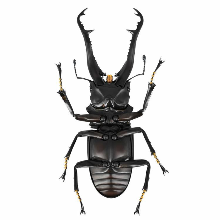Revoltech RevoGeo Prosopocoilus giraffa (Giraffe Stag Beetle)
