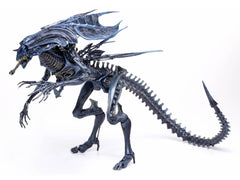 Aliens Alien Queen 1:18 Scale PX Previews Exclusive Action Figure