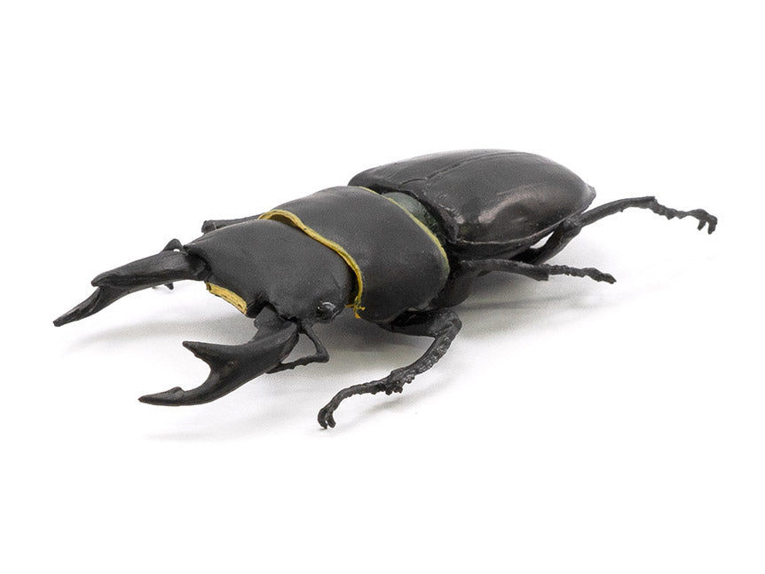 Beetle & Stag Beetle Hunter Box of 10 Random Figures