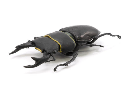 Beetle & Stag Beetle Hunter Box of 10 Random Figures
