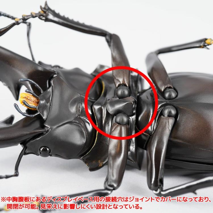 Revoltech RevoGeo Prosopocoilus giraffa (Giraffe Stag Beetle)