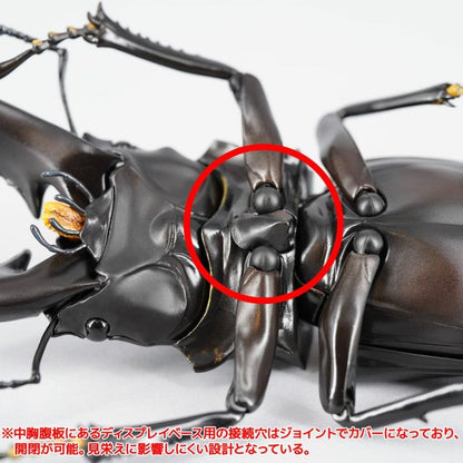Revoltech RevoGeo Prosopocoilus giraffa (Giraffe Stag Beetle)