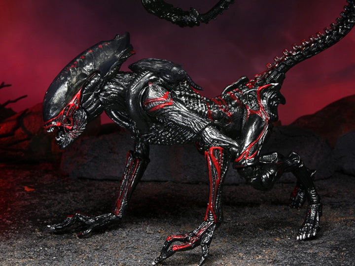 Aliens Kenner Tribute Night Cougar Alien
