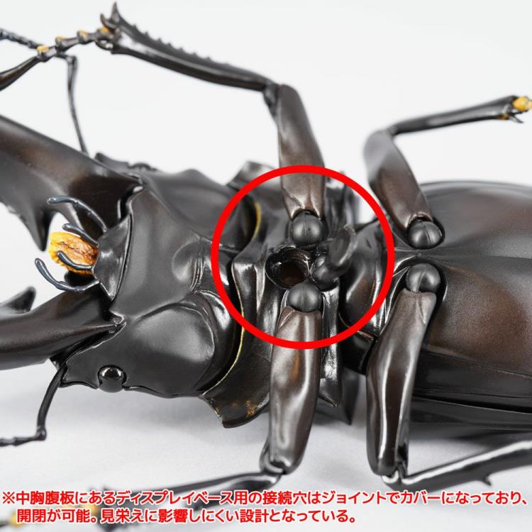 Revoltech RevoGeo Prosopocoilus giraffa (Giraffe Stag Beetle)