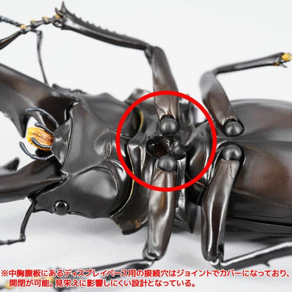 Revoltech RevoGeo Prosopocoilus giraffa (Giraffe Stag Beetle)