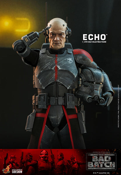 Echo Sixth Scale Figure Set by Hot Toys