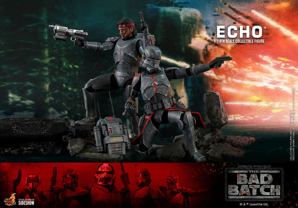 Echo Sixth Scale Figure Set by Hot Toys