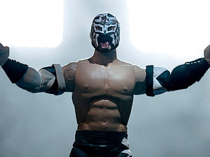 New Japan Pro-Wrestling Ultimates Bushi