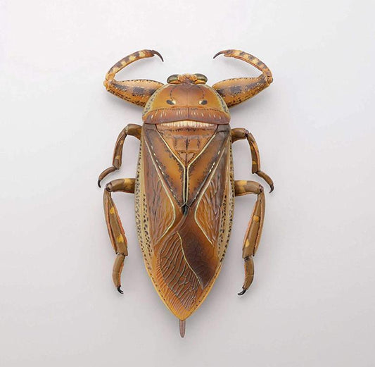 Revoltech RevoGeo Lethocerus deyrollei (Giant Water Bug)