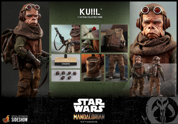 Kuiil™ Sixth Scale Figure by Hot Toys